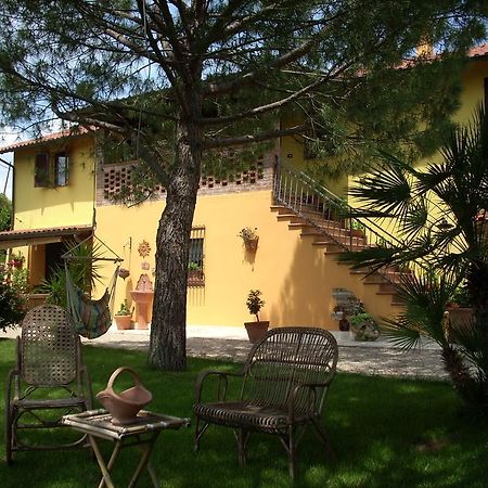B&B Piceno Castel di Lama Bagian luar foto